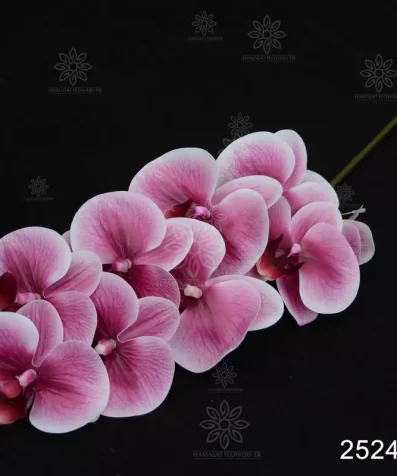 a single orchid. online shop for artificial flowers wholesale. we supply artificial flowers for flower shops events planners and decorations. ورد صناعي بالجملة